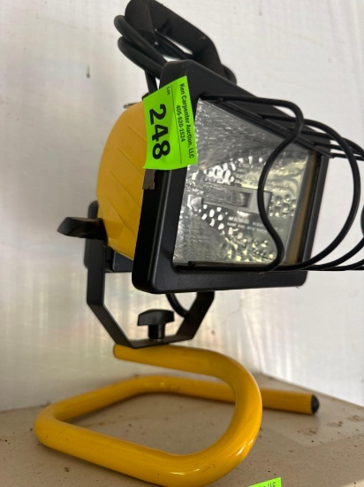 Flood light