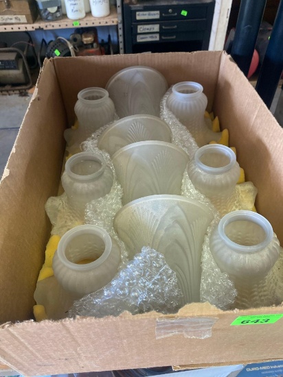 Light fixture globes