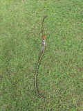 Bow