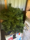 Christmas tree