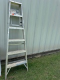 Aluminum ladder