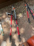 Hand saw and tree loppers