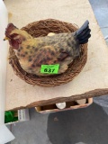 Chicken and eggs in nest