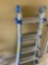 Cosco metal extension ladder