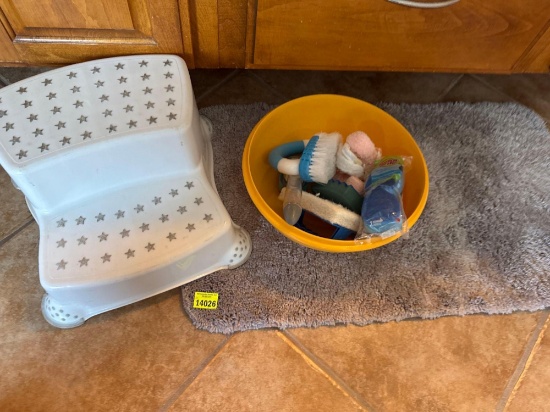 Stepstool, bathroom, rug, plastic bowl, cleaning brushes, sponges