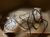 Iron and extension cord