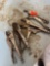 Vise grip locking pliers 3 times the money
