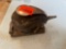 Pneumatic sander