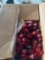 Empty shotgun shells