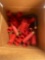 Red shotgun shell hulls