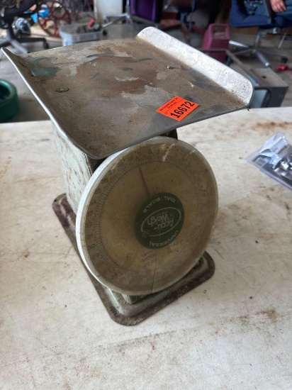 Dial scale