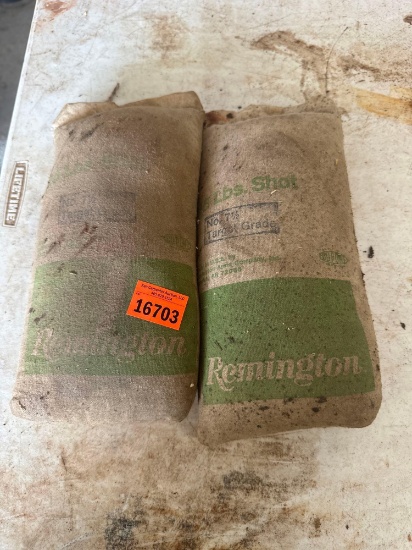 Remington target Shot