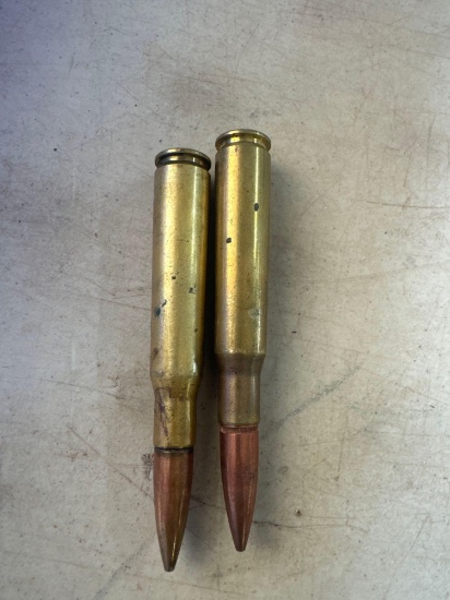 50 cal bullets