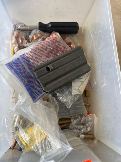Misc bullets and magazine