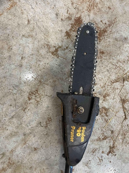 Poulan pro pruner