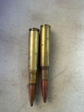 50 cal bullets