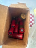 Shotgun slugs