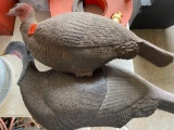 Turkey decoy