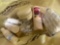 hand powder, hand lotion, wallet and nail filler