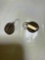 Silvertone earrings