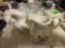 creamers and sugar bowls