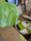 food chopper