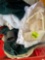 Table place mats, table runners and table cloths, napkin holders