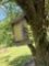 bird house feeder