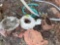 outdoor decor