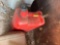 gas cans