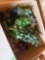 greenery and wall decor