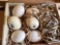 Decorative eggs