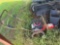 push mower
