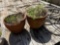 flower pots