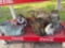 outdoor decor