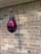 outdoor decor bring tools to remove