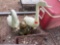 goose and frog decor