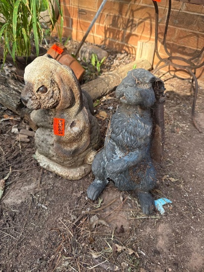 outdoor bunnies