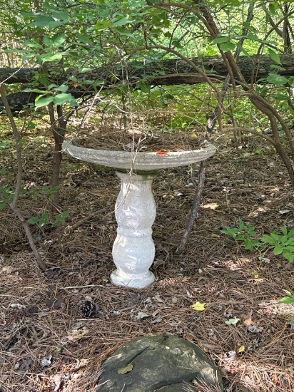 bird bath