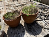 flower pots
