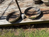 hanging flower pot and turtle