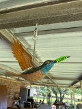 humming birds