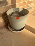 flower pot
