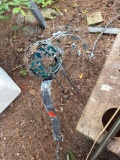 outdoor peacock