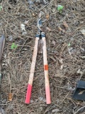bush clippers