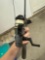 fishing rod
