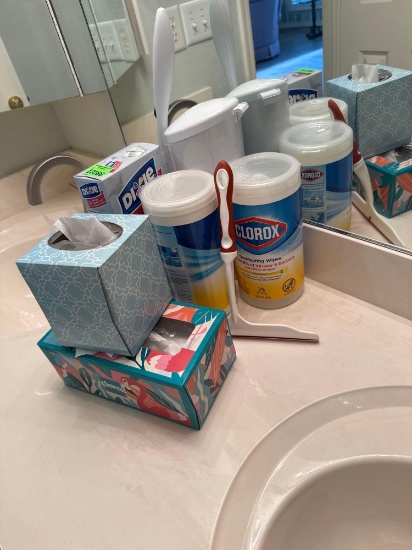 Bathroom cleaning supplies
