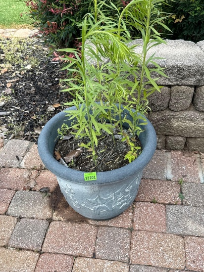 blue flower pot