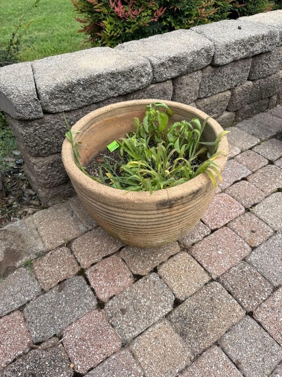 Flower pot