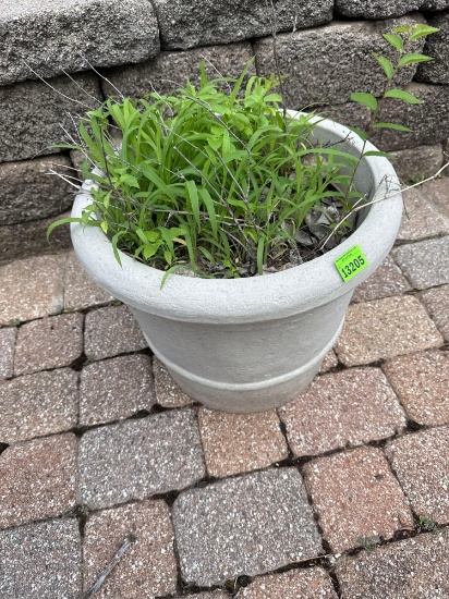 flower pot
